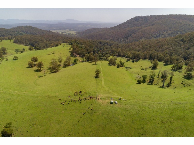 185 Sawyers Creek Road, Willina NSW 2423