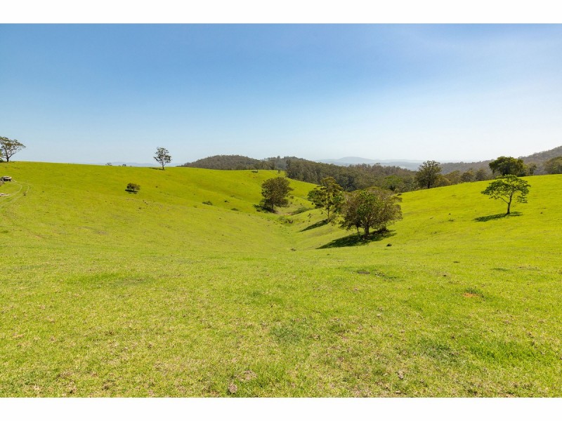 185 Sawyers Creek Road, Willina NSW 2423