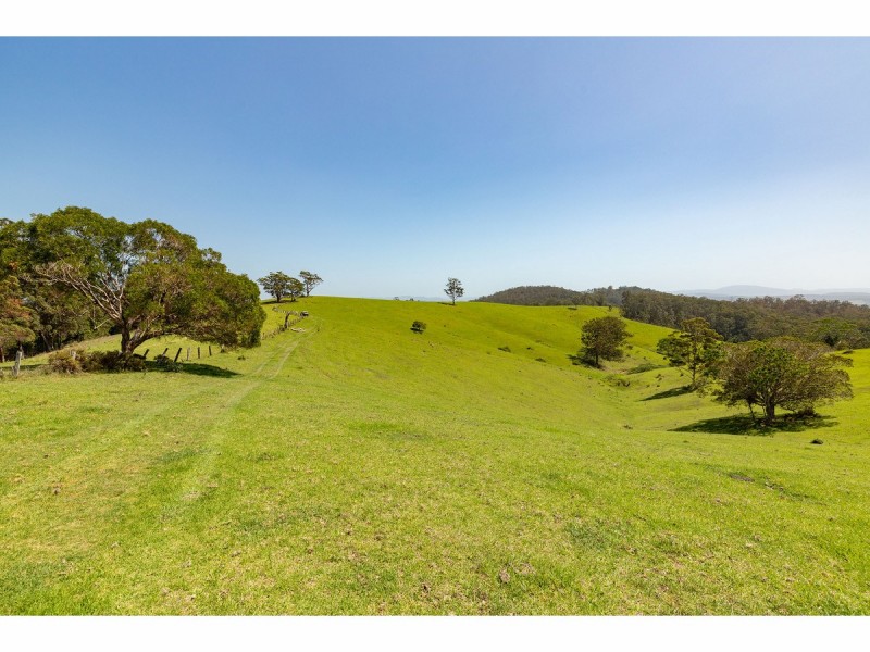 185 Sawyers Creek Road, Willina NSW 2423