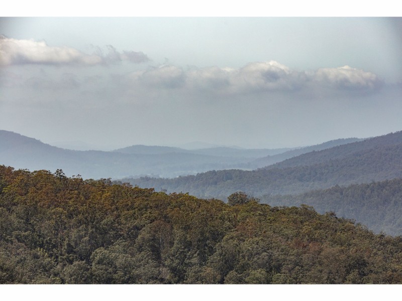 185 Sawyers Creek Road, Willina NSW 2423