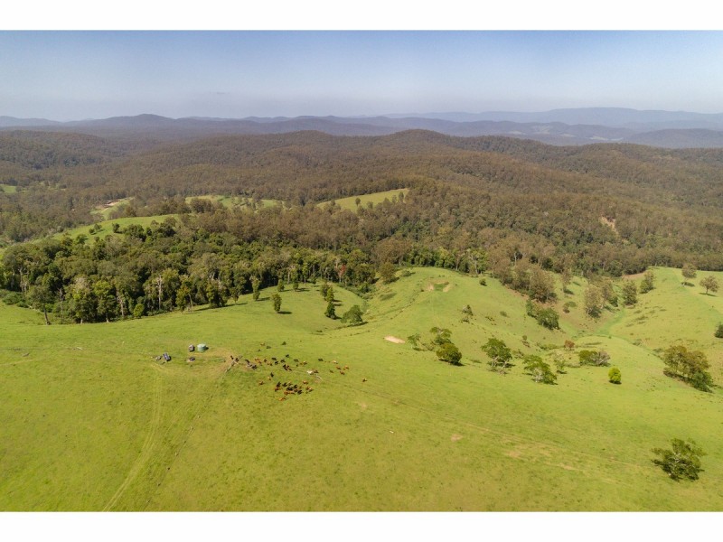 185 Sawyers Creek Road, Willina NSW 2423