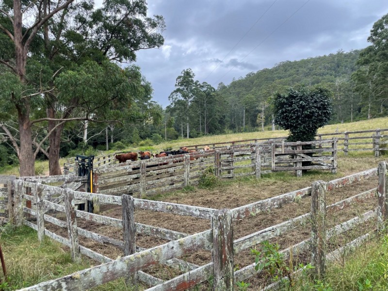 185 Sawyers Creek Road, Willina NSW 2423