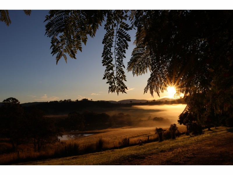 102 Waterloo Road, Firefly NSW 2429