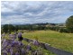 102 Waterloo Road, Firefly NSW 2429