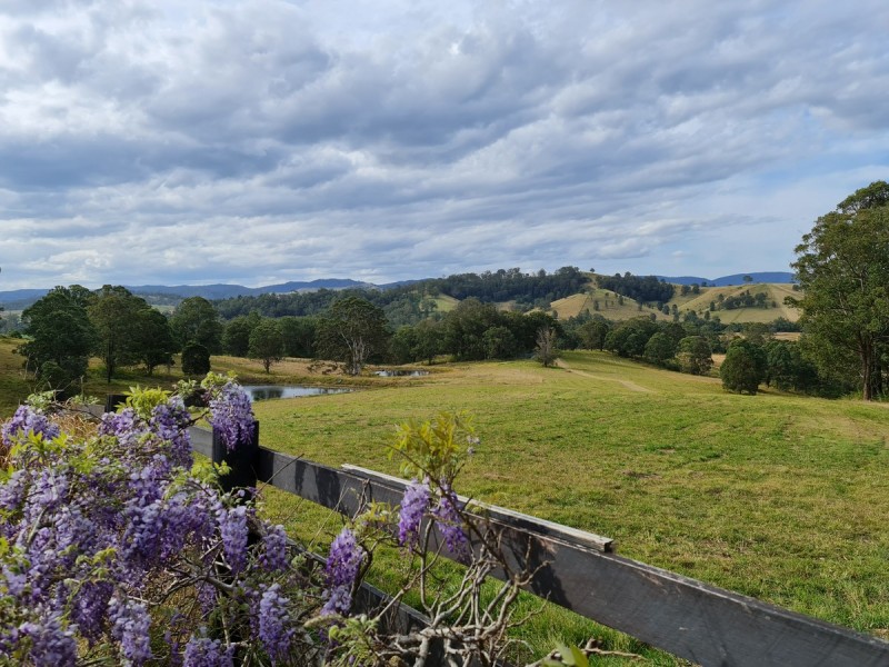 102 Waterloo Road, Firefly NSW 2429