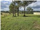 1262 Willina Road, Bunyah NSW 2429