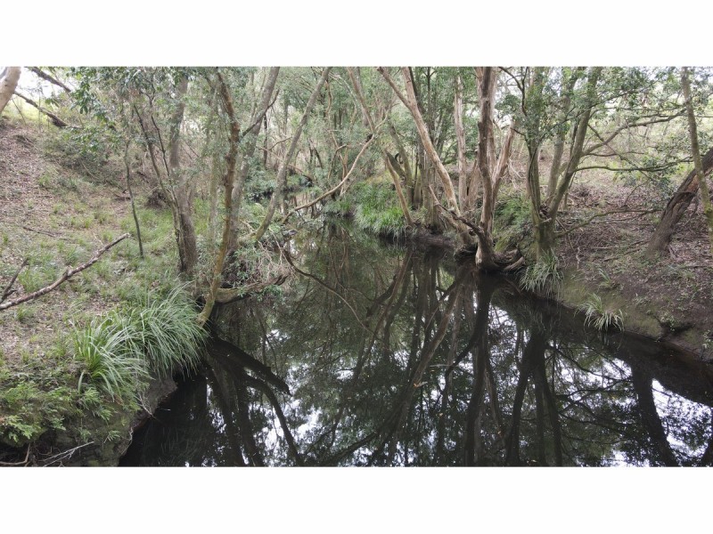 1262 Willina Road, Bunyah NSW 2429