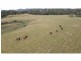 1262 Willina Road, Bunyah NSW 2429