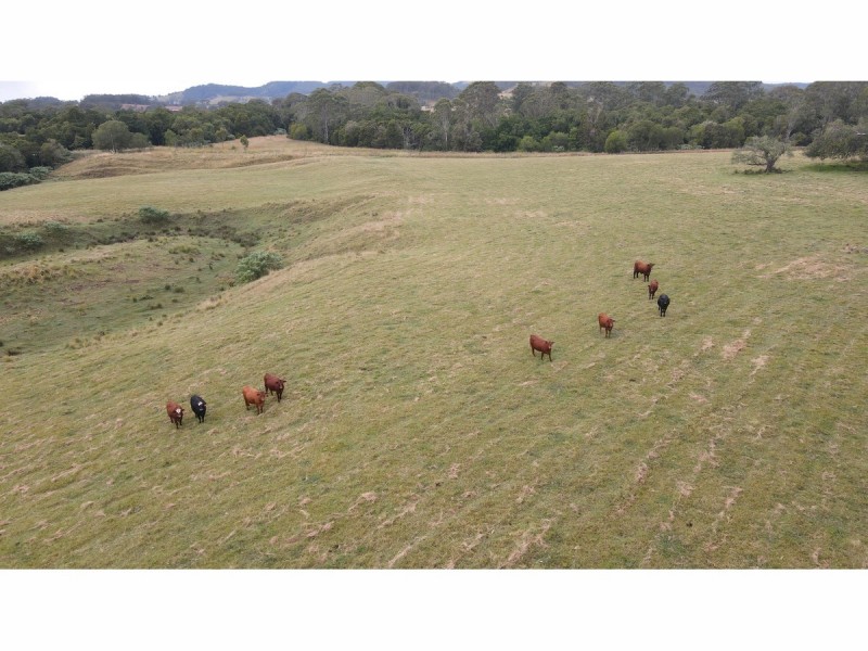 1262 Willina Road, Bunyah NSW 2429