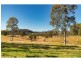 1595 Willina Road, Bunyah NSW 2429