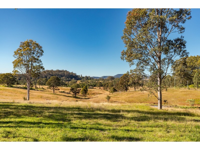 1595 Willina Road, Bunyah NSW 2429
