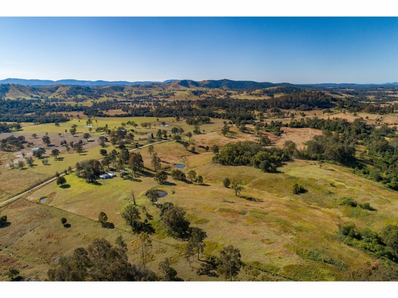 1595 Willina Road, Bunyah NSW 2429