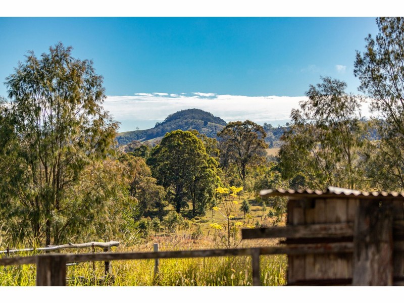 1595 Willina Road, Bunyah NSW 2429
