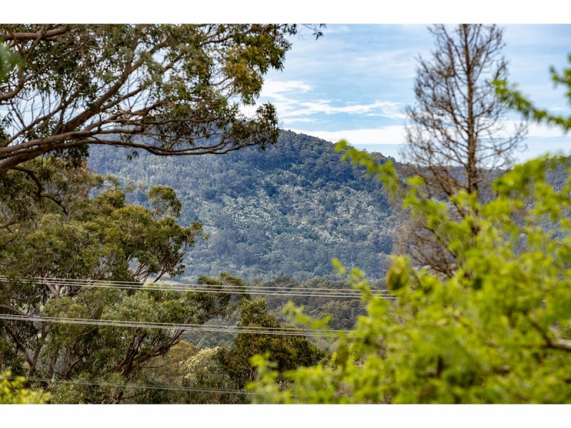 3772 The Bucketts Way, Krambach NSW 2429