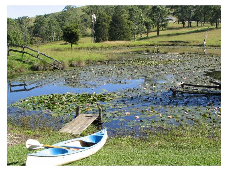 Dyers Crossing NSW 2429