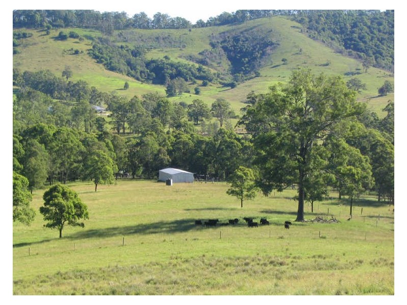 Dyers Crossing NSW 2429