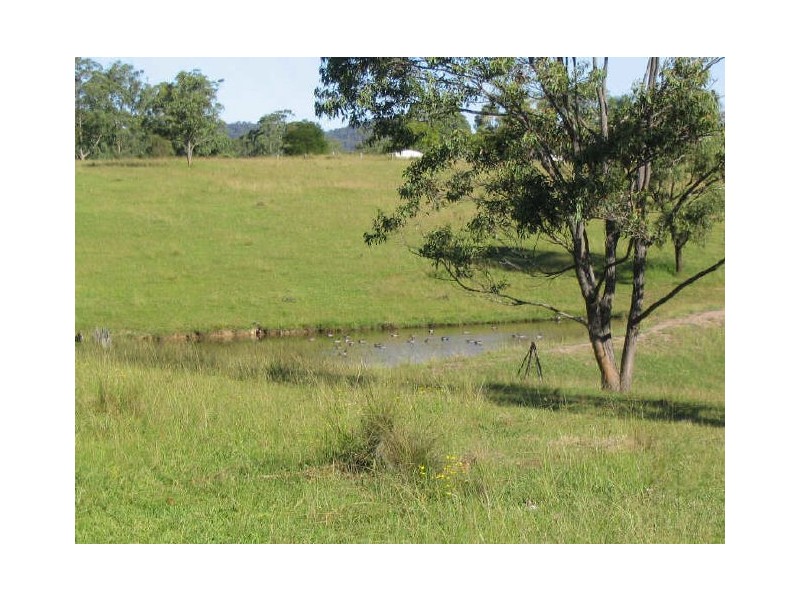 Dyers Crossing NSW 2429