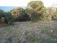 Lots (3)/46-48 Becker Road, Forster NSW 2428