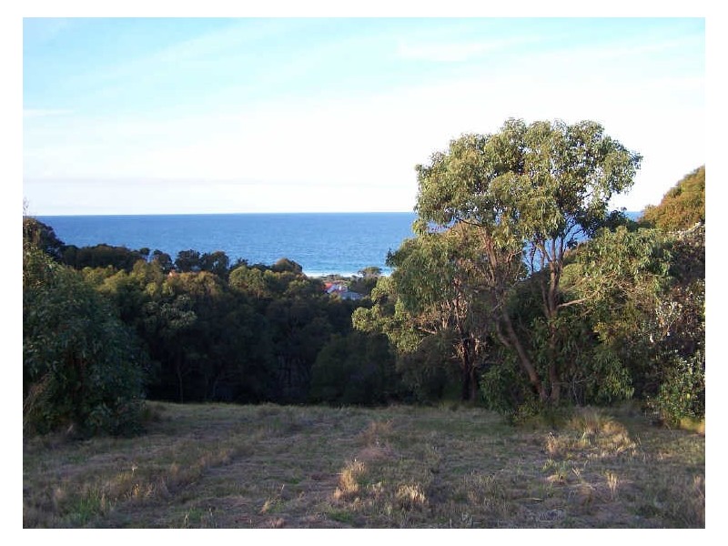Lots (3)/46-48 Becker Road, Forster NSW 2428