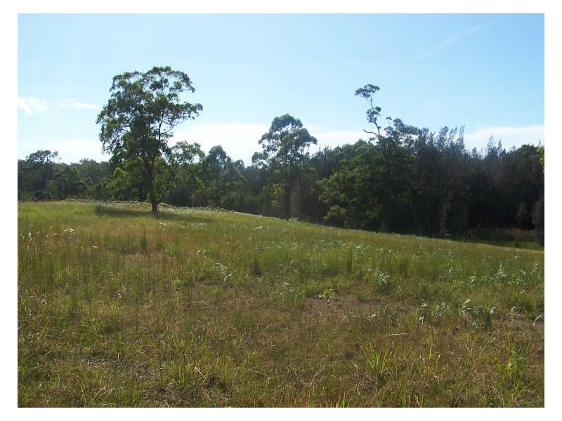 Rainbow Flat NSW 2430