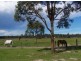 108 Blackbutt Drive, Failford NSW 2430
