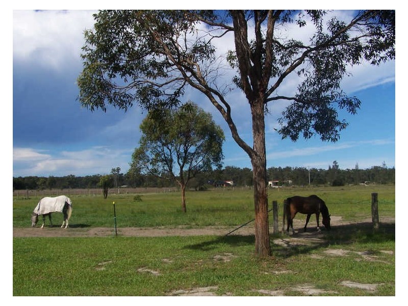 108 Blackbutt Drive, Failford NSW 2430