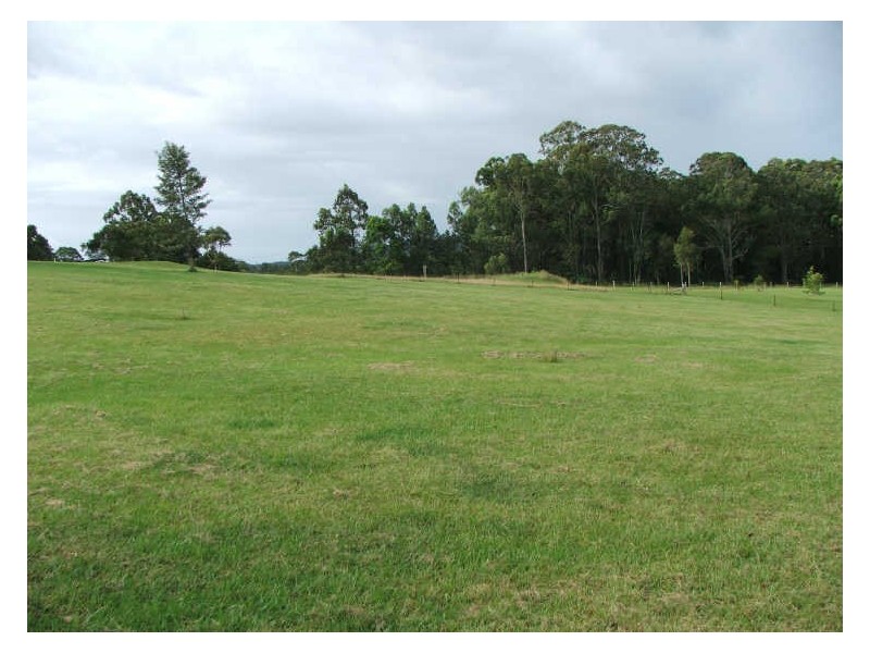 168 Blackbutt Drive, Failford NSW 2430