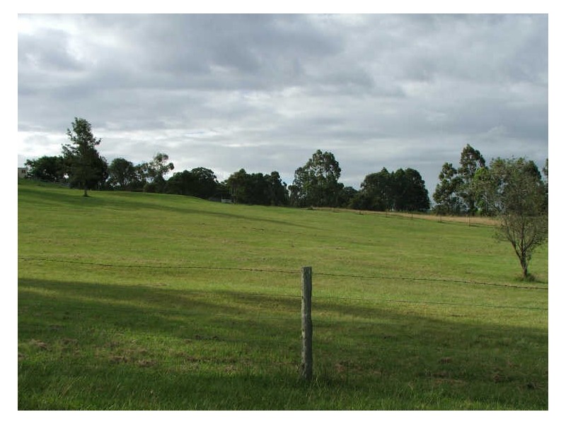 168 Blackbutt Drive, Failford NSW 2430