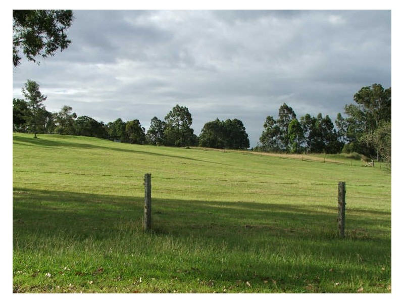 168 Blackbutt Drive, Failford NSW 2430