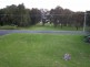 Forster NSW 2428