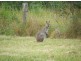 Coolongolook NSW 2423