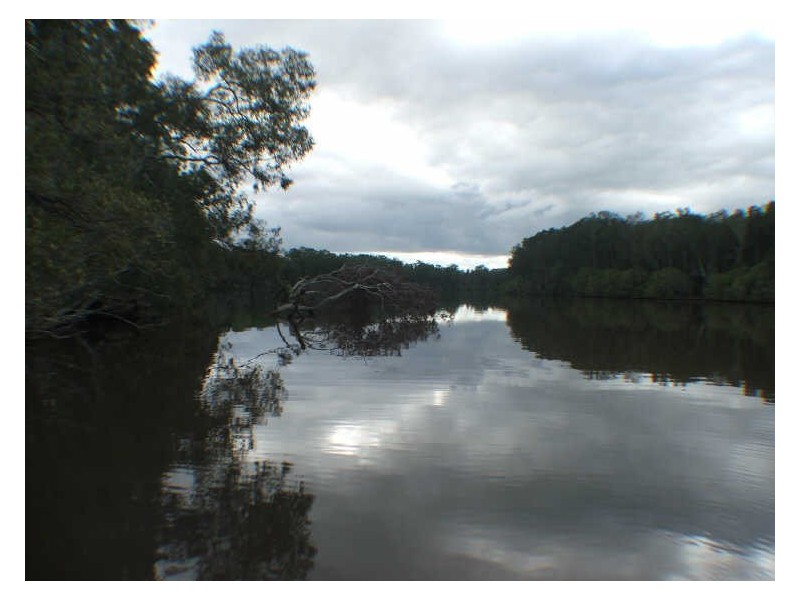 Coolongolook NSW 2423