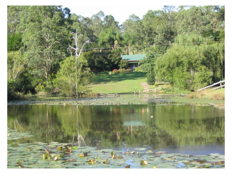 Dyers Crossing NSW 2429