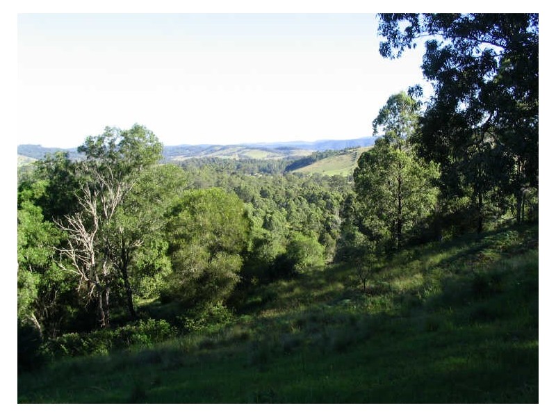Dyers Crossing NSW 2429