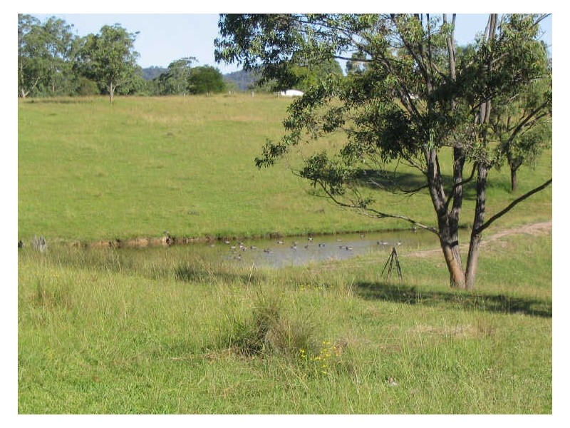 Dyers Crossing NSW 2429