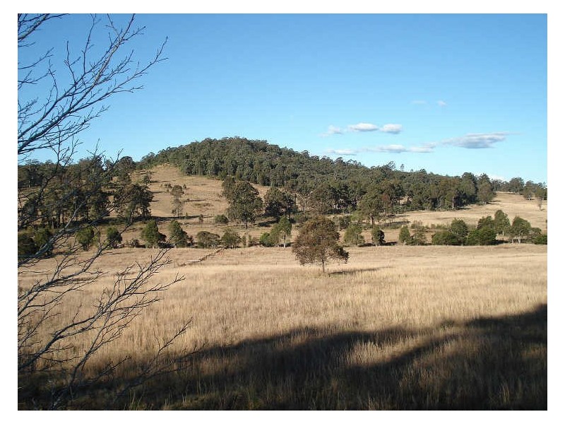 Dyers Crossing NSW 2429