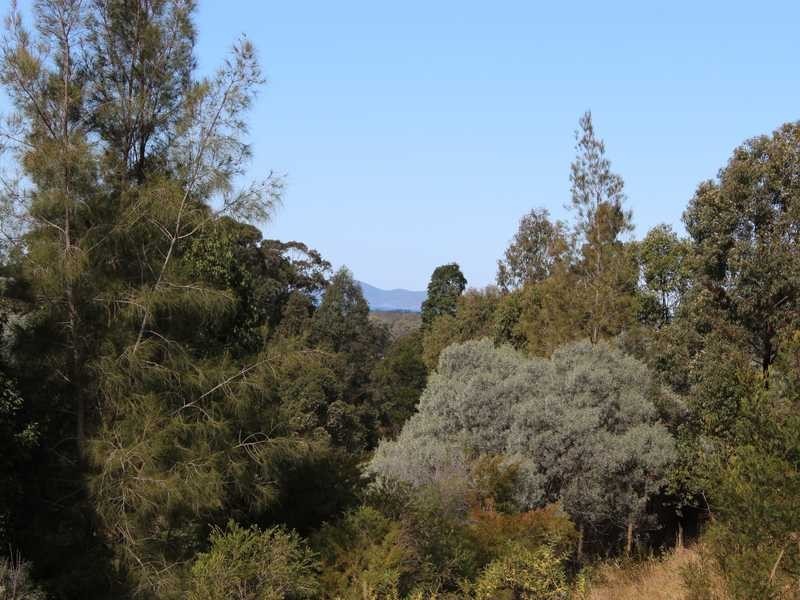 Lot 649 The Belfry, Tallwoods Village NSW 2430