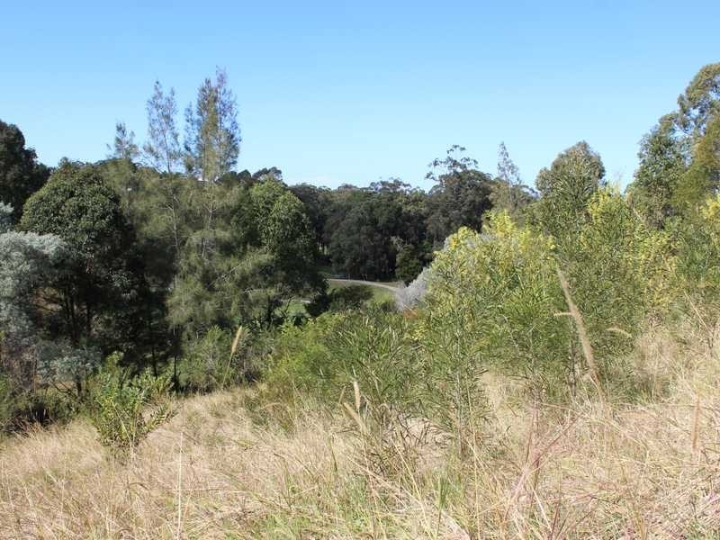 Lot 649 The Belfry, Tallwoods Village NSW 2430