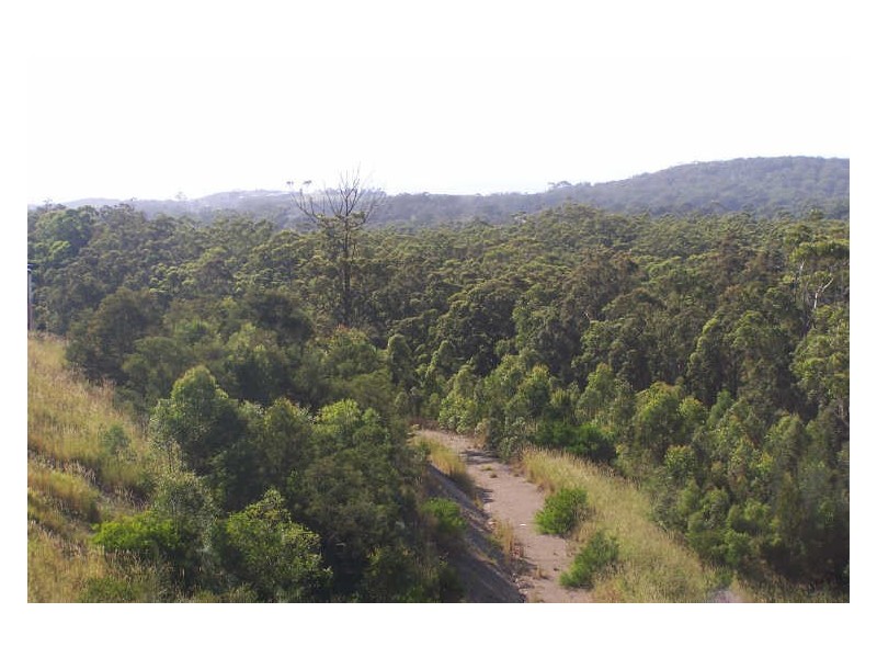 7 Lake View Way, Tallwoods Village NSW 2430