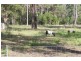 Nabiac NSW 2312