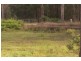 Nabiac NSW 2312