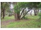 43 Boundary Street, Forster NSW 2428