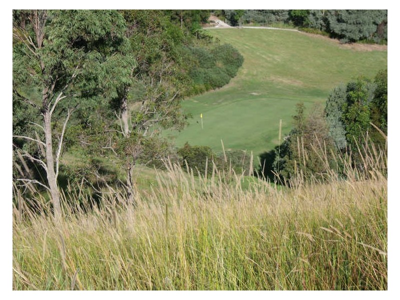 Hallidays Point NSW 2430