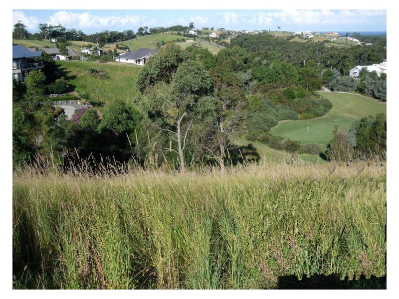 Hallidays Point NSW 2430