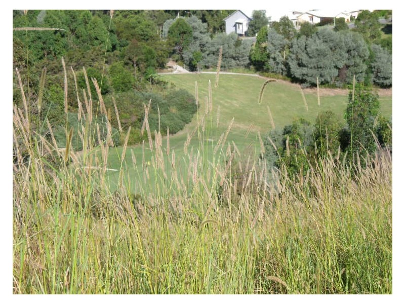 Hallidays Point NSW 2430