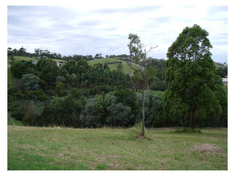 Hallidays Point NSW 2430