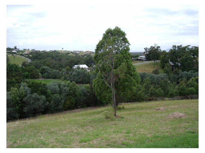 Hallidays Point NSW 2430