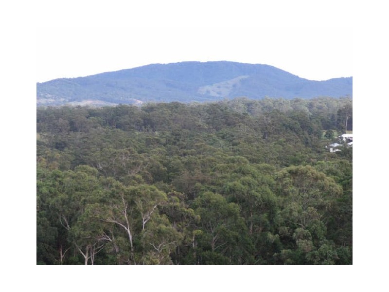 Hallidays Point NSW 2430