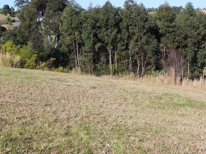 59 Hilltop Parkway, Tallwoods Village NSW 2430