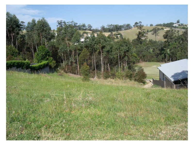 Lot 103 Hilltop Parkway, Tallwoods Village NSW 2430